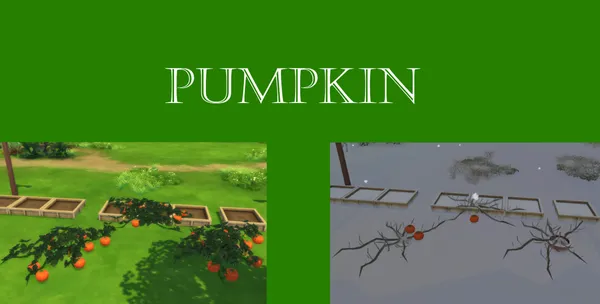 Pumpkin Harvestable